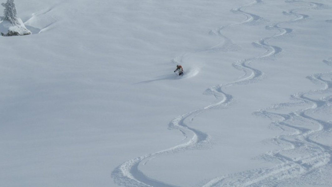 Settimana sci alpinismo Lagorai